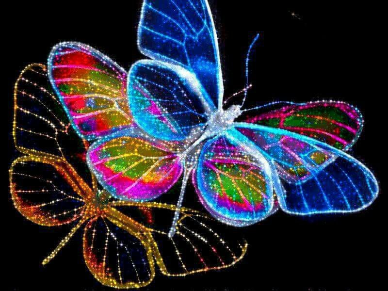 Triad Butterfly