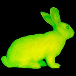 Gamma Rabbit