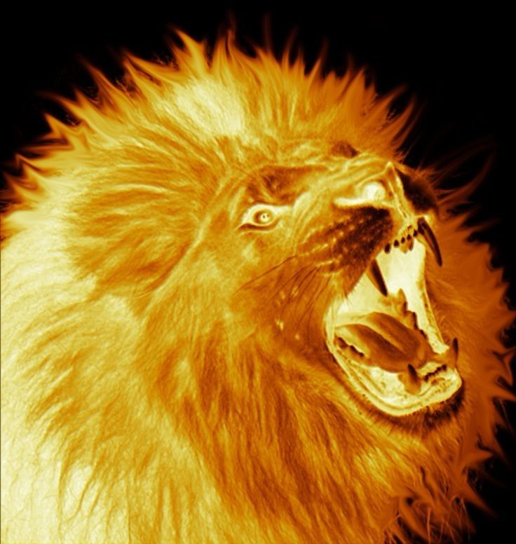 Solar Lion