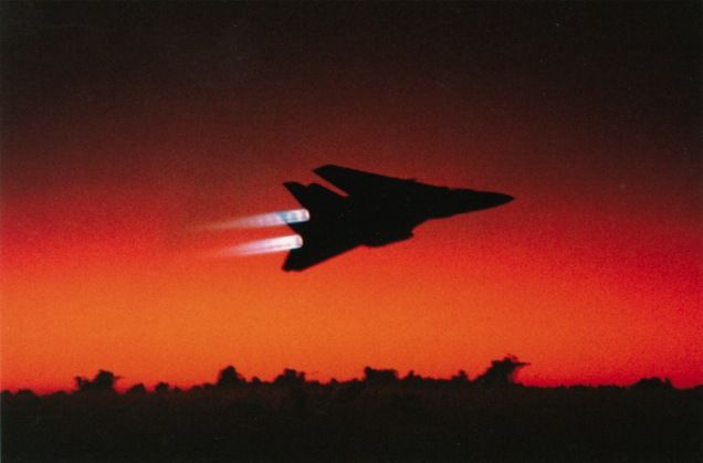 Grumman F-14 Tomcat