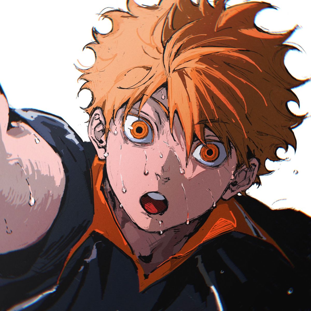 Shoyo