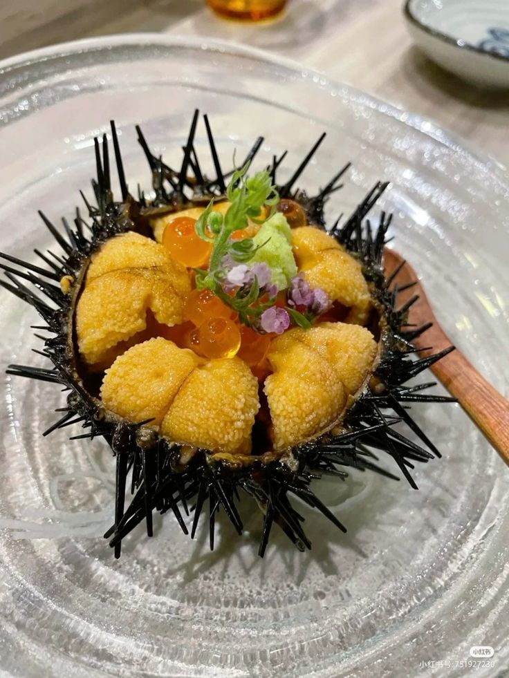 Sea Urchin