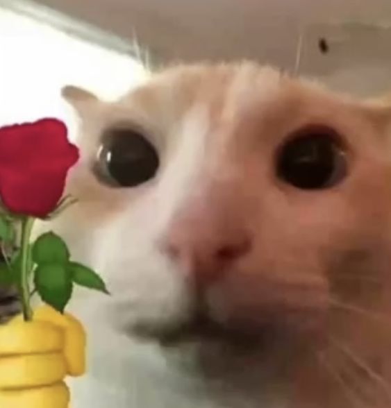 Gary