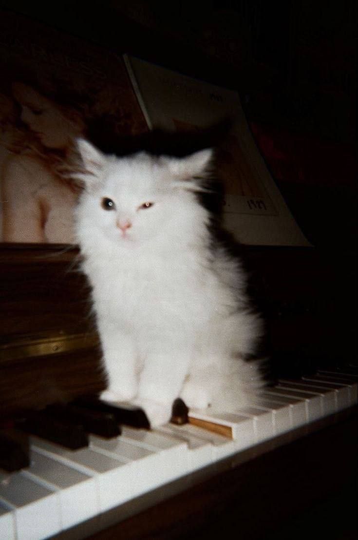 Chopin