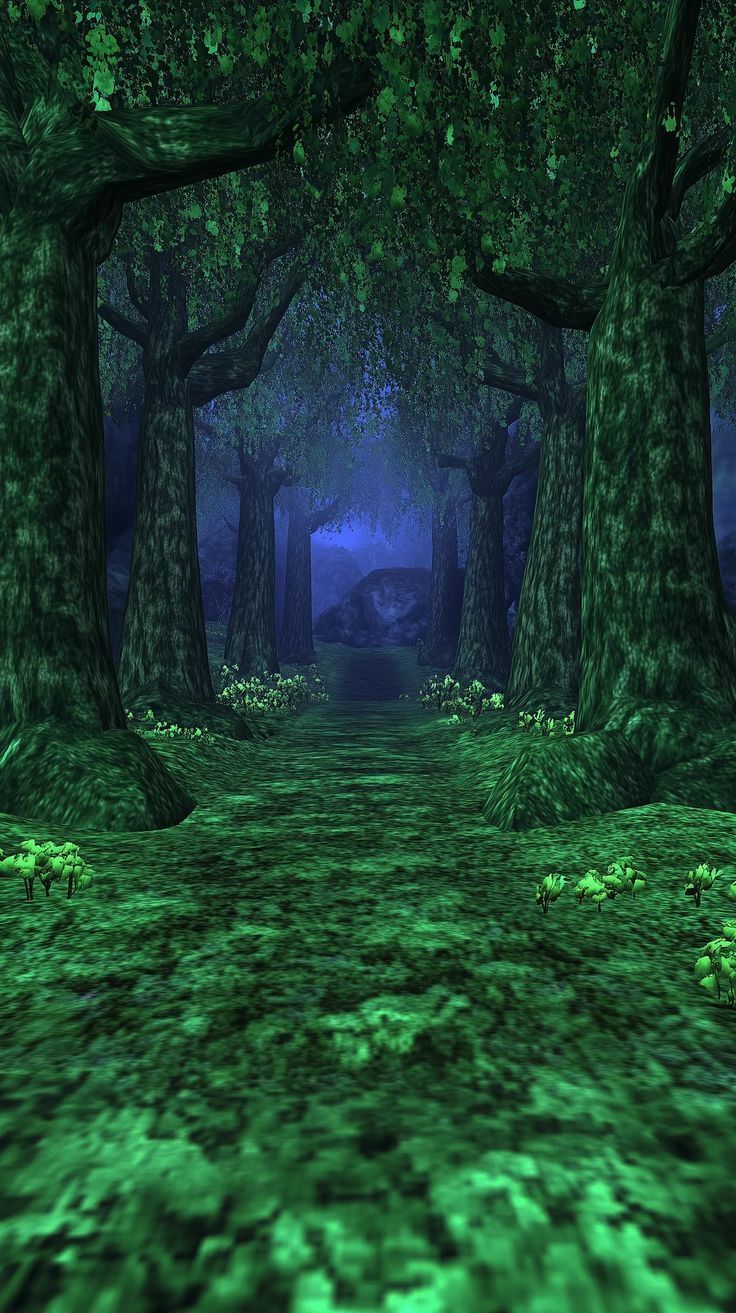 A Gloomy Forest