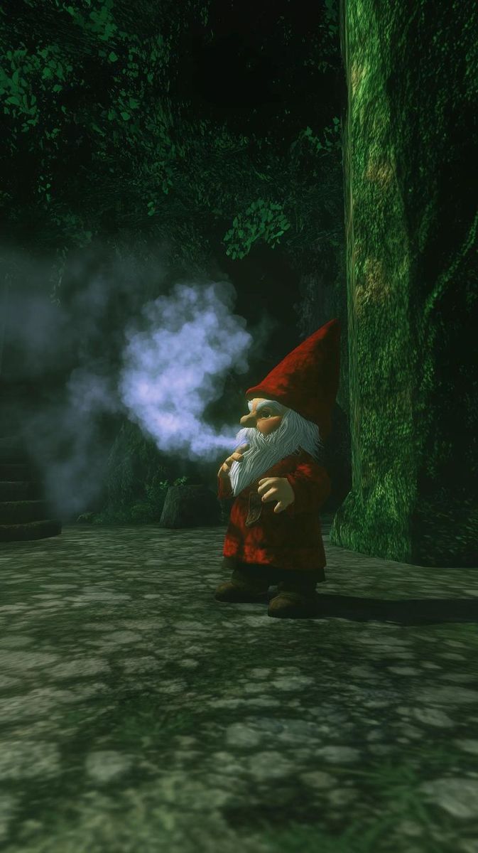 The Gnome