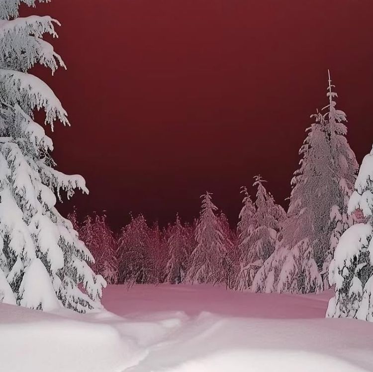 Forest's Clearing