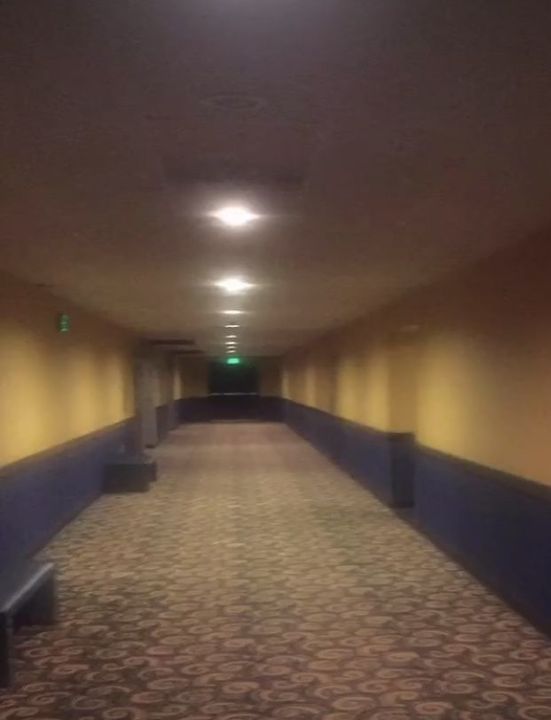 Level 5