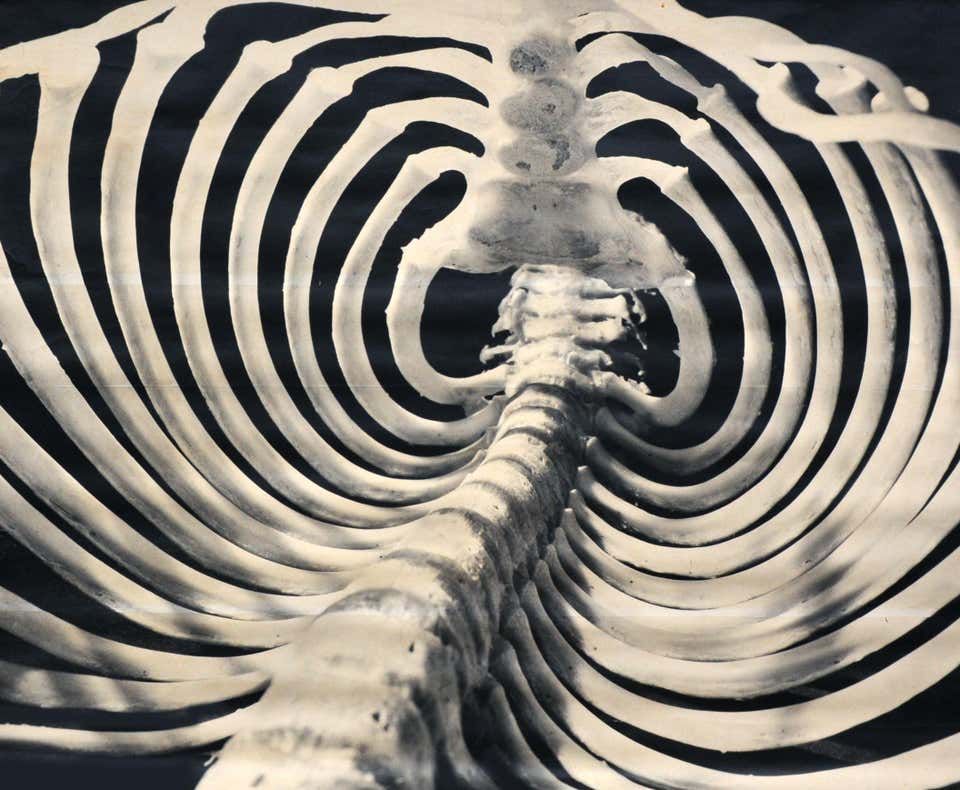 Recursive Ribcage