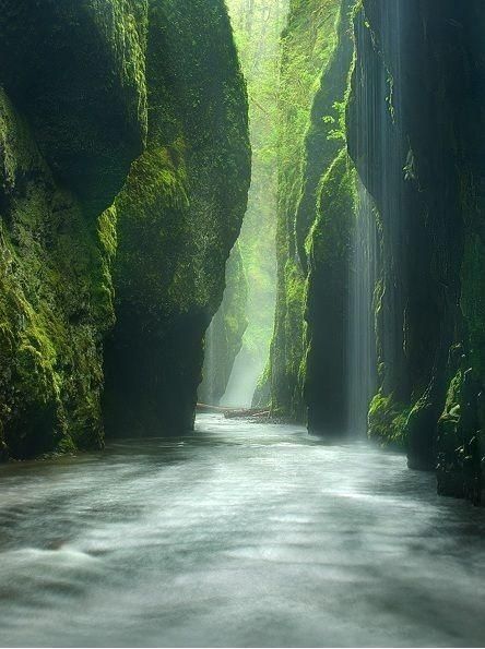 Oneonta Gorge, USA